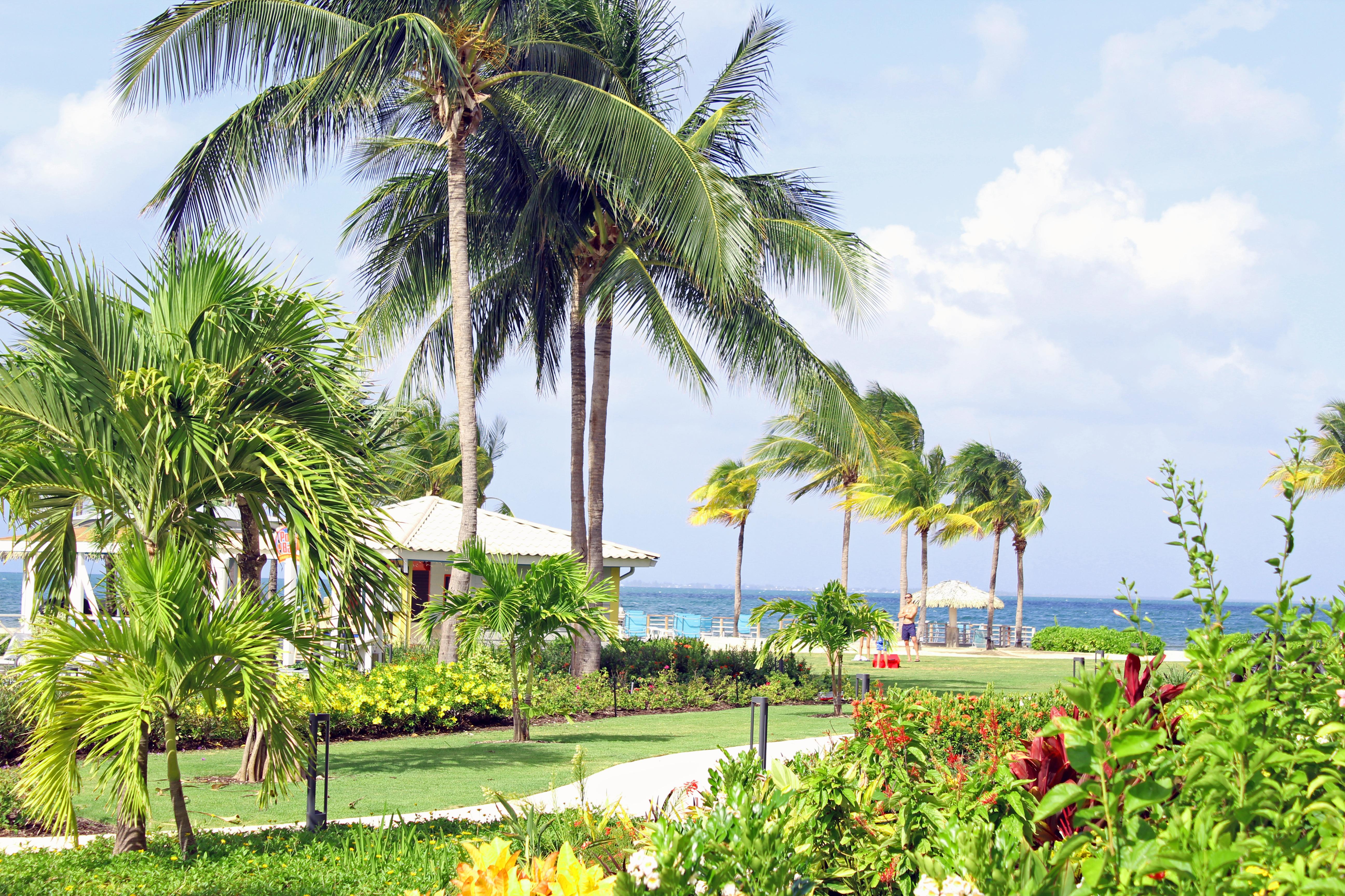 ג'ורג' טאון The Grand Caymanian Resort מראה חיצוני תמונה