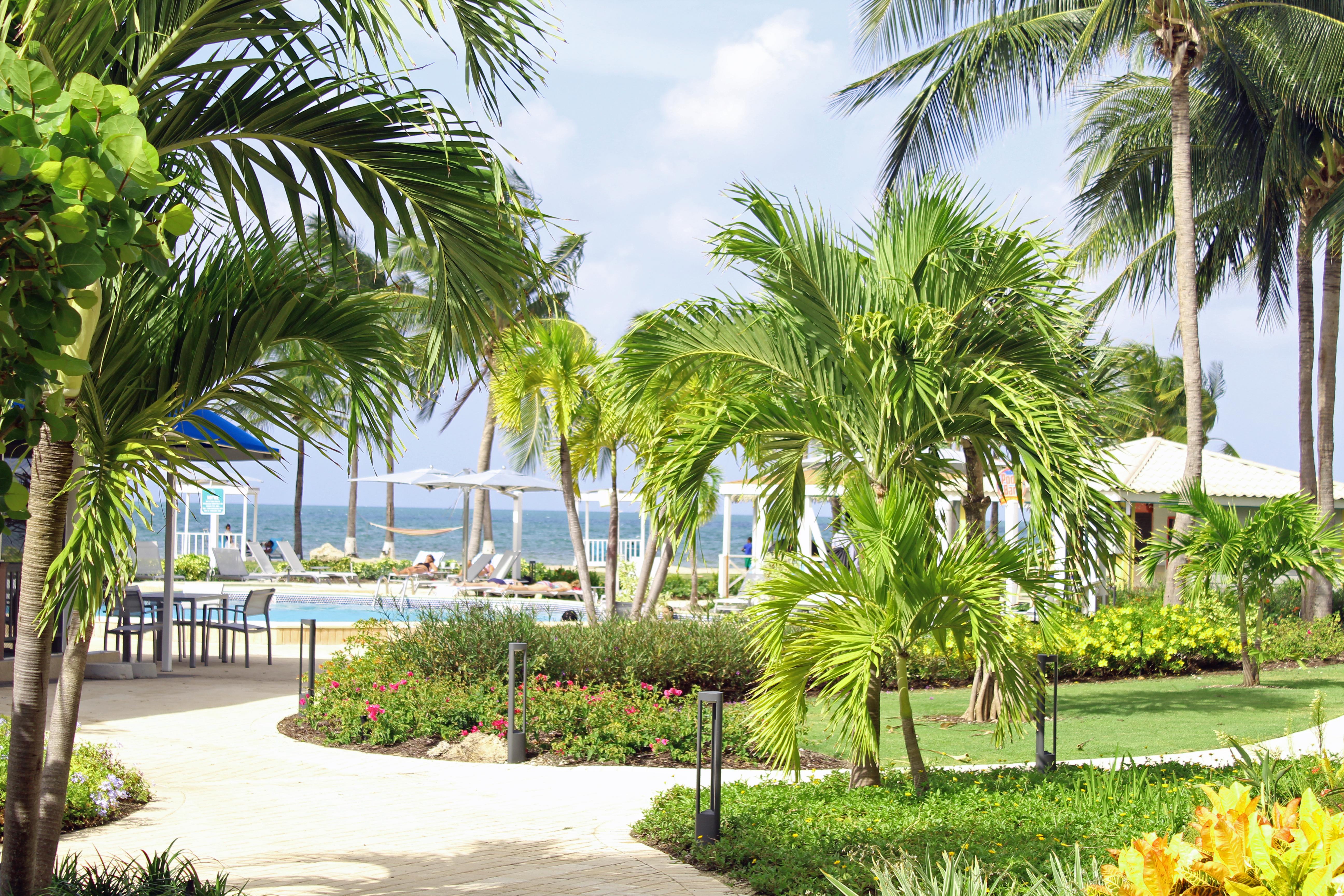 ג'ורג' טאון The Grand Caymanian Resort מראה חיצוני תמונה